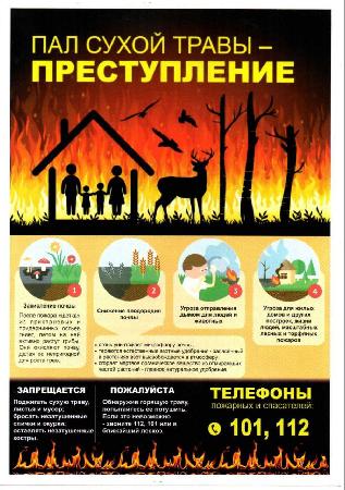 На территории Республики Крым с 17 апреля введён особый противопожарный режим